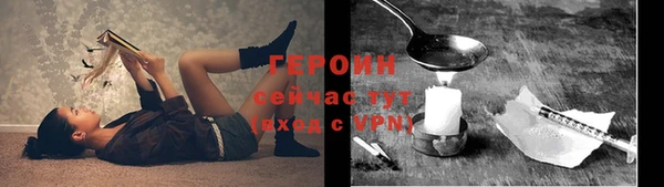 гашик Пестово
