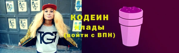 СК Пересвет