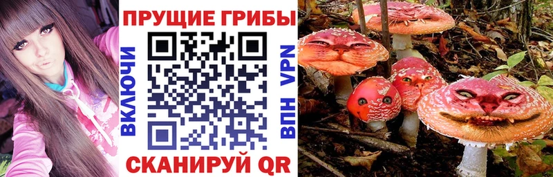 Галлюциногенные грибы Psilocybe  Дивногорск 
